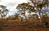 Road to Helena Aurora Ranges
