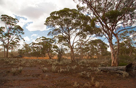 Road to Helena Aurora Ranges