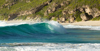 Surf's Up