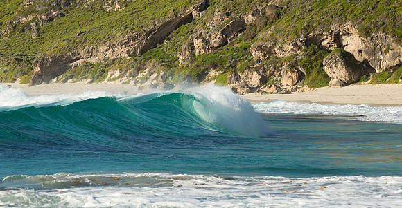 Surf's Up